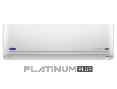 platinum plus2 (500x380)